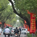 Một tuyến đường ở thành phố Huế. (Ảnh: Văn Dũng/TTXVN)