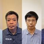 Các bị can từ trái qua phải: Nguyễn Bá Hoan, Tống Hải Nam, Nguyễn Gia Liêm, Phạm Viết Hương. (Ảnh: TTXVN phát)