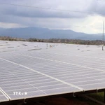 Dự án điện mặt trời BIM tại xã Phước Minh (huyện Thuận Nam) đã đưa vào vận hành thương mại. (Ảnh: Công Thử/TTXVN)