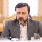 Thứ trưởng Ngoại giao Iran Kazem Gharibabadi. (Ảnh: IRNA/TTXVN)