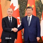 Thủ tướng Canada Mark Carney (trái) và Chủ tịch Trung Quốc Tập Cận Bình tại cuộc hội đàm ở Bắc Kinh ngày 16/1/2026. (Ảnh: THX/TTXVN)