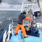 Ảnh minh họa. (Nguồn: Getty)