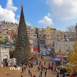 Cây thông Noel bên ngoài Nhà thờ Truyền Tin Chính thống Hy Lạp ở Nazareth. (Ảnh: TTXVN phát)