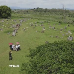 Điểm du lịch Cánh đồng Chum tại Xiengkhouang, Lào. (Ảnh: Bá Thành/TTXVN)