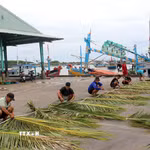 Ngư dân ngồi kết tàu dừa để làm cội chà. (Ảnh: Hồng Hiếu/TTXVN)