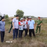Ông Phạm Thành Ngại, Chủ tịch UBND tỉnh Đồng Tháp kiểm tra hoạt động phòng cháy chữa cháy rừng trong mùa khô 2026 tại Vườn Quốc gia Tràm Chim. (Ảnh: Hồng Nhung/TTXVN)