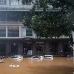 Cảnh ngập lụt sau những trận mưa lớn tại Jakarta, Indonesia. (Ảnh: THX/TTXVN)