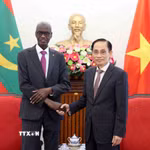 Bộ trưởng Bộ Ngoại giao Lê Hoài Trung và Bộ trưởng, Tổng Thư ký Chính phủ Cộng hòa Hồi giáo Mauritania Moctar Al Housseynou Lam. (Ảnh: An Đăng/TTXVN)