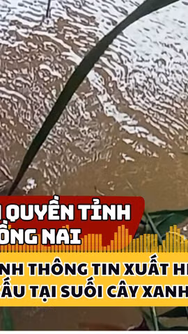 Chính quyền tỉnh Đồng Nai xác minh thông tin xuất hiện cá sấu tại suối Cây Xanh