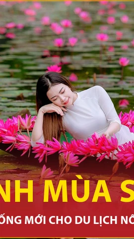 Mùa sen nở rộ thu hút du khách đến với vùng non nước hùng vĩ Ninh Bình