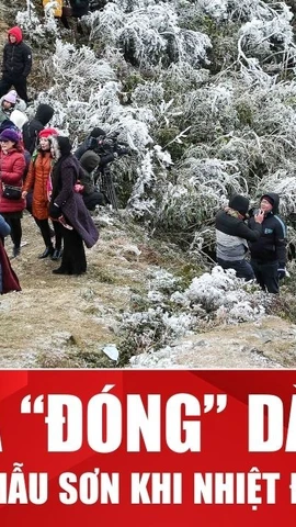 Băng giá phủ trắng đỉnh Mẫu Sơn trong đợt rét mạnh