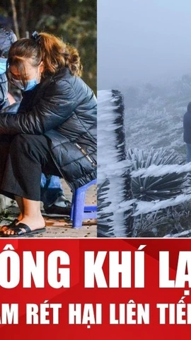 Miền Bắc chuẩn bị rét đậm rét hại khi đón 5 đợt không khí lạnh liên tiếp 