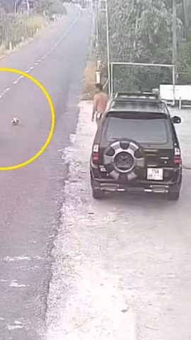 Làm rõ vụ bé 5 tuổi đá bóng ra đường gây tai nạn chết người ở Vĩnh Long
