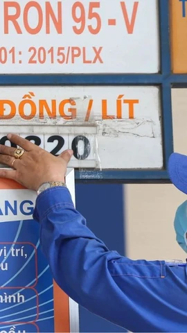 Giá xăng dầu cao, doanh nghiệp vận tải buộc phải linh hoạt điều chỉnh cước phí