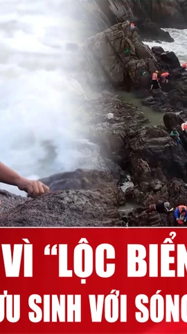 Cuộc chiến với sóng dữ vì “lộc biển” ở Bình Định 