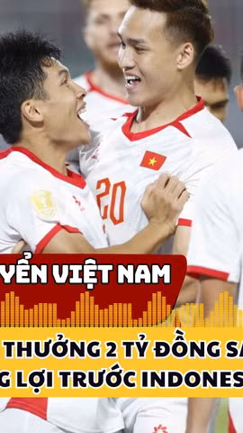 Đội tuyển Việt Nam nhận thưởng 2 tỷ đồng sau thắng lợi trước Indonesia