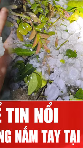 Mưa đá dữ dội trút xuống Bắc Hà làm sập nhà và 4 người bị thương