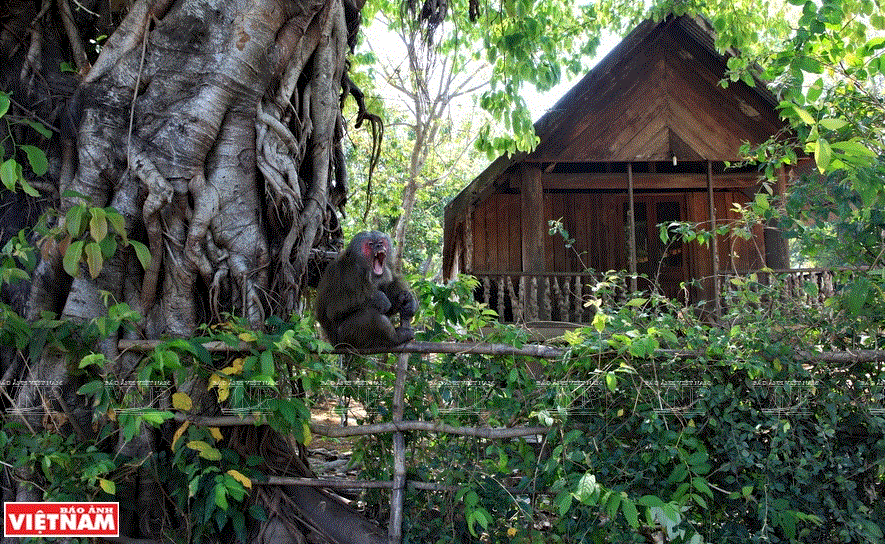 Buôn cổ M’liêng - nơi lưu giữ nét văn hóa dân tộc M’nông ảnh 7