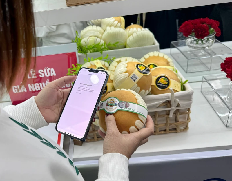 The Ministry of Industry and Trade officially deployed the Origin Traceability System from December 23