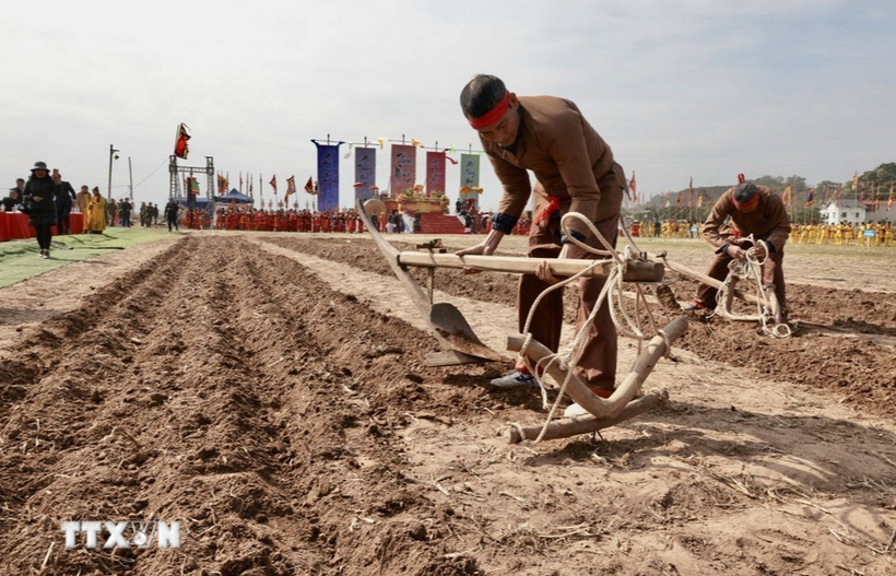 Lễ hội Tịch điền tại phường Tiên Sơn. (Ảnh: Trần Việt/TTXVN)