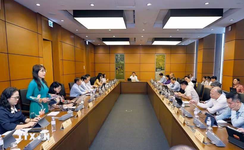 Đoàn đại biểu Quốc hội các tỉnh An Giang và Quảng Trị thảo luận ở tổ. (Ảnh: Doãn Tấn/TTXVN)