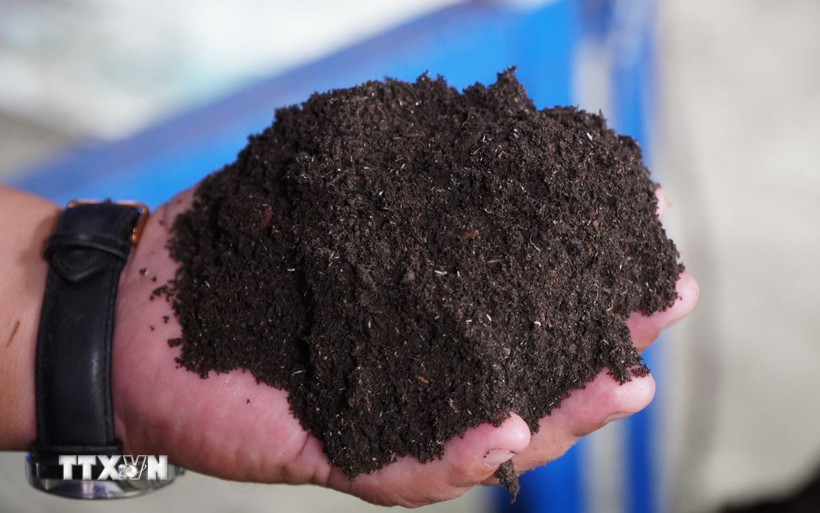 Ứng dụng công nghệ vi sinh mật độ cao (HCDF) trong xử lý rơm rạ trên nền tảng quản lý số hóa. Trong ảnh: Phân hữu cơ sản xuất từ rơm sau khi ủ. (Nguồn: TTXVN)