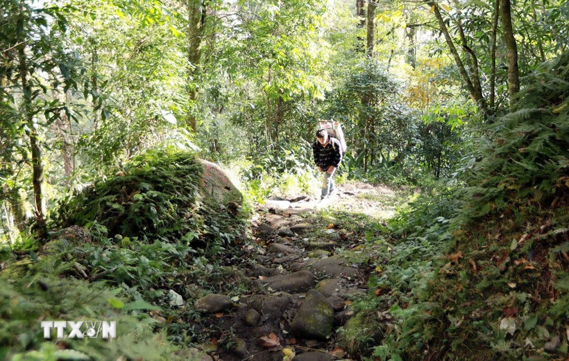 Trải qua thời gian và chiến tranh, hiện nay con đường này còn khoảng 17km. (Ảnh: Quý Trung/TTXVN)