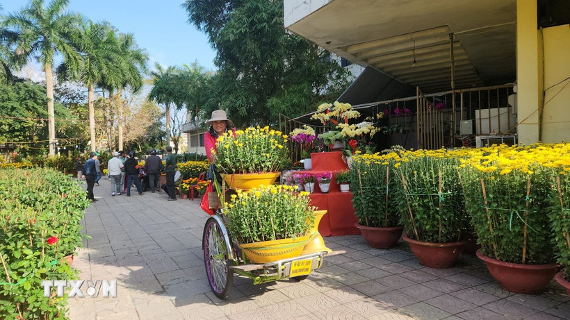 Sau khi được mua, các chậu hoa được vận chuyển đi từ chợ hoa. (Ảnh: Võ Văn Dũng/TTXVN)