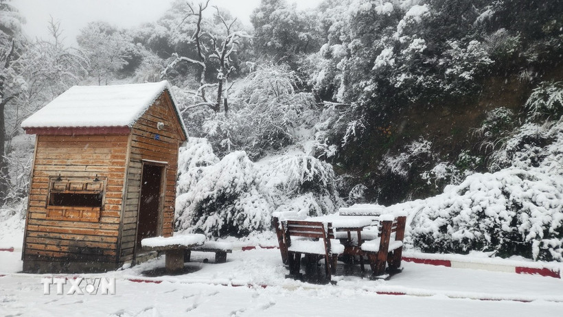 Tuyết rơi dày tạo nên cảnh đẹp như tranh vẽ. (Ảnh: Mạnh Hùng/TTXVN)