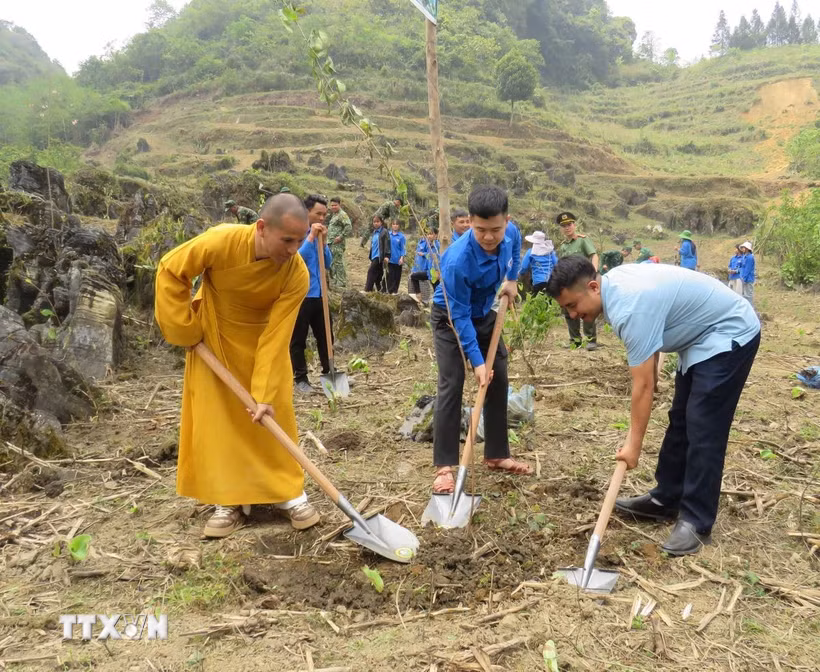 Lãnh đạo địa phương cùng đoàn viên, thanh niên và người dân ra quân trồng cây tại tuyến đường. (Ảnh: Đức Thọ/TTXVN)