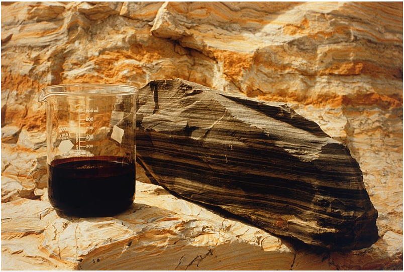 Ảnh minh họa. (Nguồn: Internet)