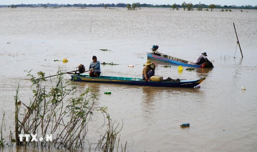 Đồng Tháp: Mô hình nuôi trữ cá và du lịch mùa nước nổi ở Thường Phước Nước lũ rút là thời điểm đánh bắt thủy sản nhộn nhịp của người dân ở khu vực đầu nguồn tỉnh Đồng Tháp. (Ảnh: Nhựt An/TTXVN)