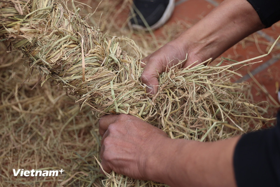 Tư liệu của ban quản lý di tích đình làng Thị Cấm ghi rằng sau khi qua làng Thị Cấm (bấy giờ là làng Phương Canh), tướng quân cho mở hội thi chọn ra người nấu cơm giỏi nhất để đi theo lo việc hậu cần, nuôi quân. (Ảnh: Minh Anh/Vietnam+)