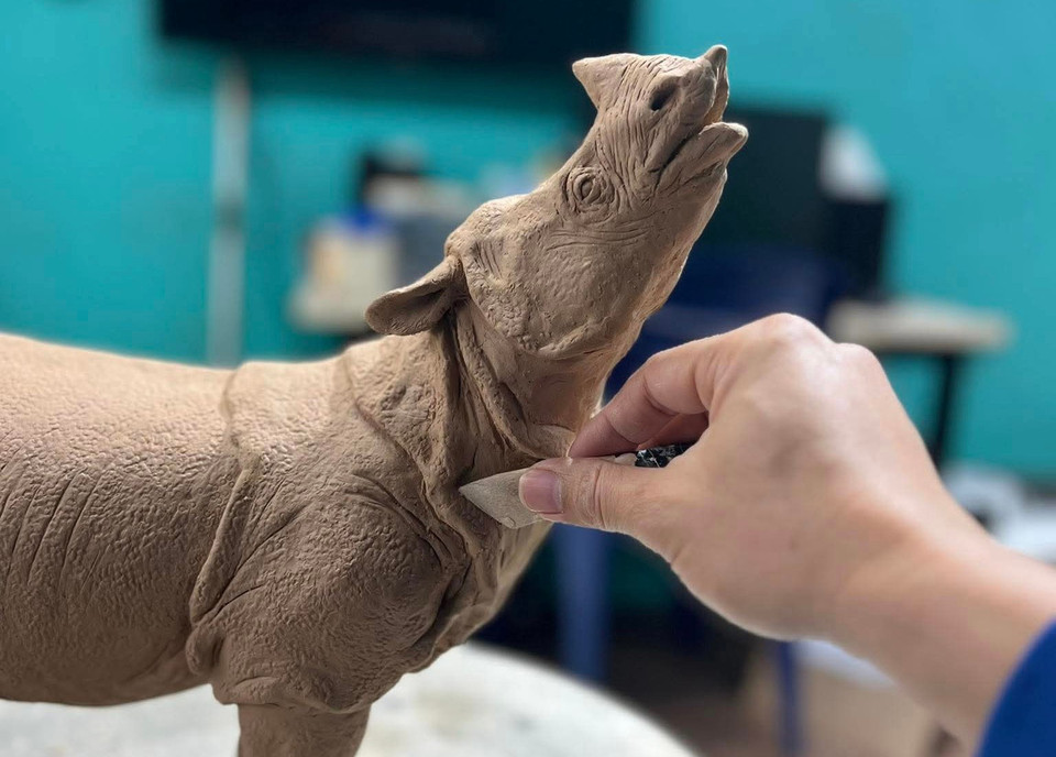 Đặc biệt, để khắc họa tác phẩm một cách chân thực, nhà điêu khắc Tống Vương Quyền còn phải nghiên cứu giải phẫu cơ thể động vật để hiểu rõ hơn về tập tính và thói quen của chúng. Anh cũng trực tiếp đến các vườn thú để quan sát, cũng như xem phim tài liệu và hình ảnh về động vật để thu thập thông tin chi tiết. (Ảnh: Hương Ly/Vietnam+)