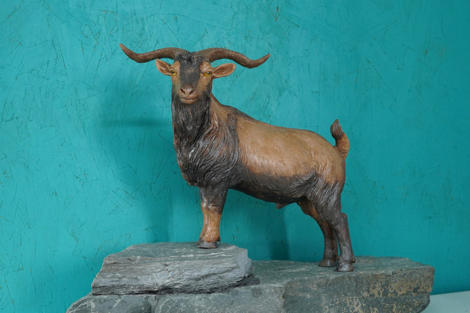 Trong mỗi tác phẩm anh đều mong muốn người xem thấy vẻ đẹp thuần khiết của các loài động vật, có thêm kiến thức và nhận thức về bảo vệ động vật nói riêng và bảo vệ môi trường nói chung. (Ảnh: Hương Ly/Vietnam+)