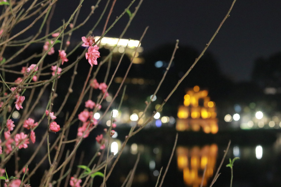 (Ảnh: Minh Anh/Vietnam+)