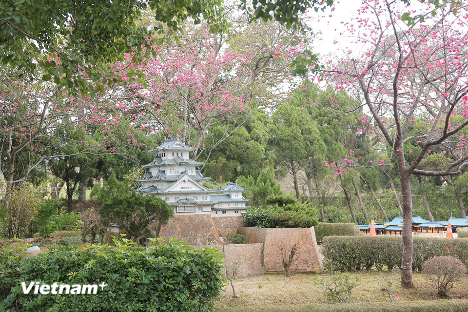 Công viên Cửa sổ mở ra thế giới thường đông dịp cuối tuần và kỳ nghỉ. (Ảnh: Minh Anh/Vietnam+)