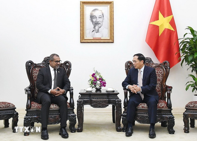 Visestatsminister Bui Thanh Son tok imot Maldivenes utenriksminister Abdulla Khaleel. (Foto: An Dang/VNA) ttxvn-pho-thu-tuong-bui-thanh-son-tiep-bo-truong-ngoai-giao-maldives2.jpg