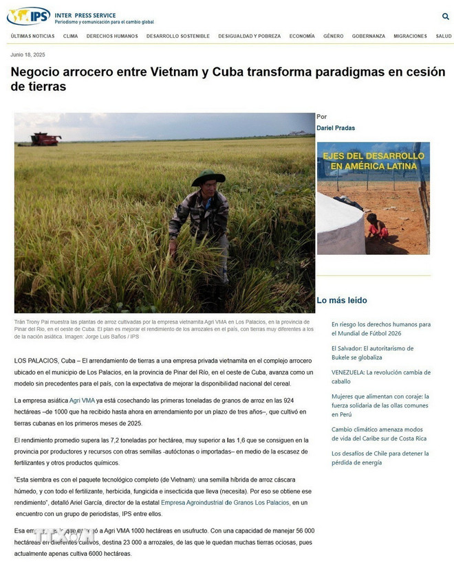(រូបថតអេក្រង់) ttxvn-bao-chi-quoc-te-hop-tac-viet-nam-cuba-tao-buoc-dot-pha-trong-san-xuat-lua-gao.jpg