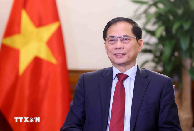 ttxvn-pho-thu-tuong-bo-truong-ngoai-giao-bui-thanh-son.jpg