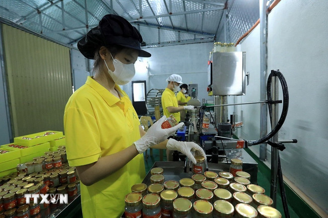ក្រុមហ៊ុន Thanh Son Salanganes Nest Production and Trading Company Limited ជាសហគ្រាសមួយក្នុងចំណោមសហគ្រាសដែលកំពុងស្វែងរកទិសដៅថ្មី បង្កើតការងារសម្រាប់កម្មករជាច្រើនដែលមានប្រាក់ចំណូលស្ថិរភាព រួមចំណែកសម្រេចគោលដៅធ្វើឱ្យ Thanh Hoa ក្លាយជាបង្គោលកំណើនថ្មីនៅភាគខាងជើង។ (រូបថត៖ Tuan Anh/VNA) ttxvn-thanh-hoa-chu-truong-ho-tro-phat-trien-doanh-nghiep-nho-va-vua.jpg