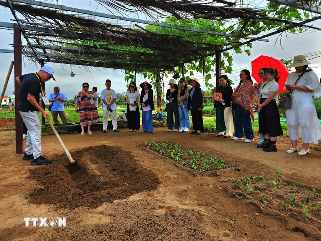 Tourists experience the ttxvn-du-lich-xanh-cua-da-nang2.jpg