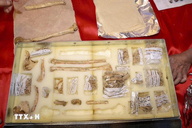 تقریباً برقرار کنکال تقریباً 13,000 سال پرانا ہونے کا عزم کیا گیا تھا۔ (تصویر: وی این اے) ttxvn-hang-thung-binh3.jpg