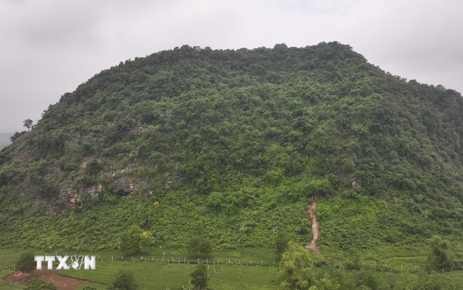 Thung Binh 1 غار ہیملیٹ 6، Tay Hoa Lu Ward میں پہاڑ کے آدھے راستے پر واقع ہے، جو Trang An Scenic Landscape Complex کا حصہ ہے، جہاں سائنسدانوں نے تقریباً 13,000 سال پرانی باقیات کا ایک مجموعہ دریافت کیا۔ (تصویر: Duc Phuong/VNA) ttxvn-hang-thung-binh2.jpg