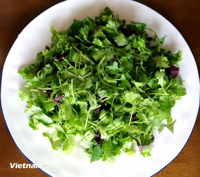 vnp-rau-mui.jpg