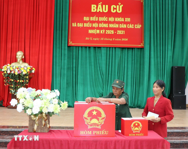 ttxvn-cu-tri-vung-bien-bo-y-quang-ngai-hang-hai-di-bau-cu-2.jpg