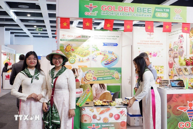 ttxvn-doanh-nghiep-viet-nam-tim-co-hoi-mo-rong-thi-truong-tai-fruit-logistica-2026-duc2.jpg