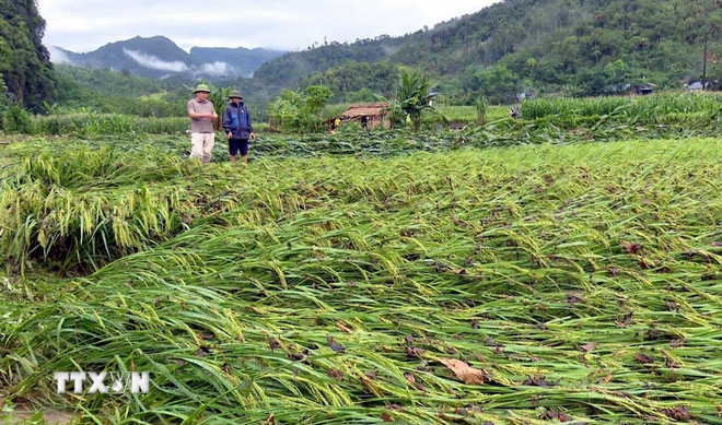 ttxvn-tuyen-quang-thiet-hai-hon-12-ty-dong-do-mua-lon.jpg