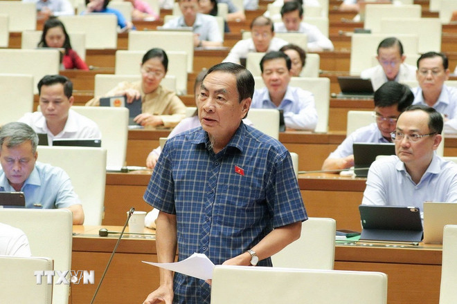 ttxvn-dai-bieu-quoc-hoc-ho.jpg