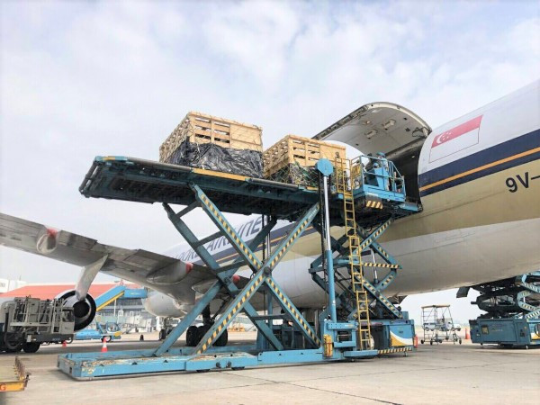 Bò được chuyên chở trong các cũi gỗ theo tiêu chuẩn và quy định quốc tế, các chuyên gia đi áp tải và theo dõi sức khỏe đàn bò. (Ảnh: PV)